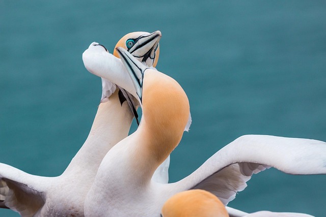 visual of dispute lifecycle from alert to resolution